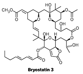 Bryostatin 3