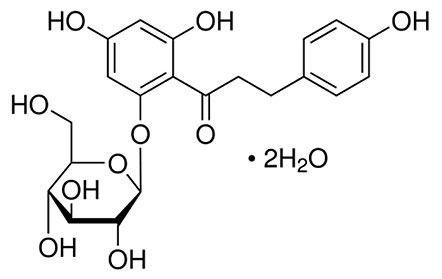 Phloridzin-Dihydrate Structure
