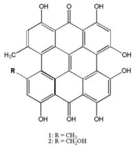 Hypericin Structure